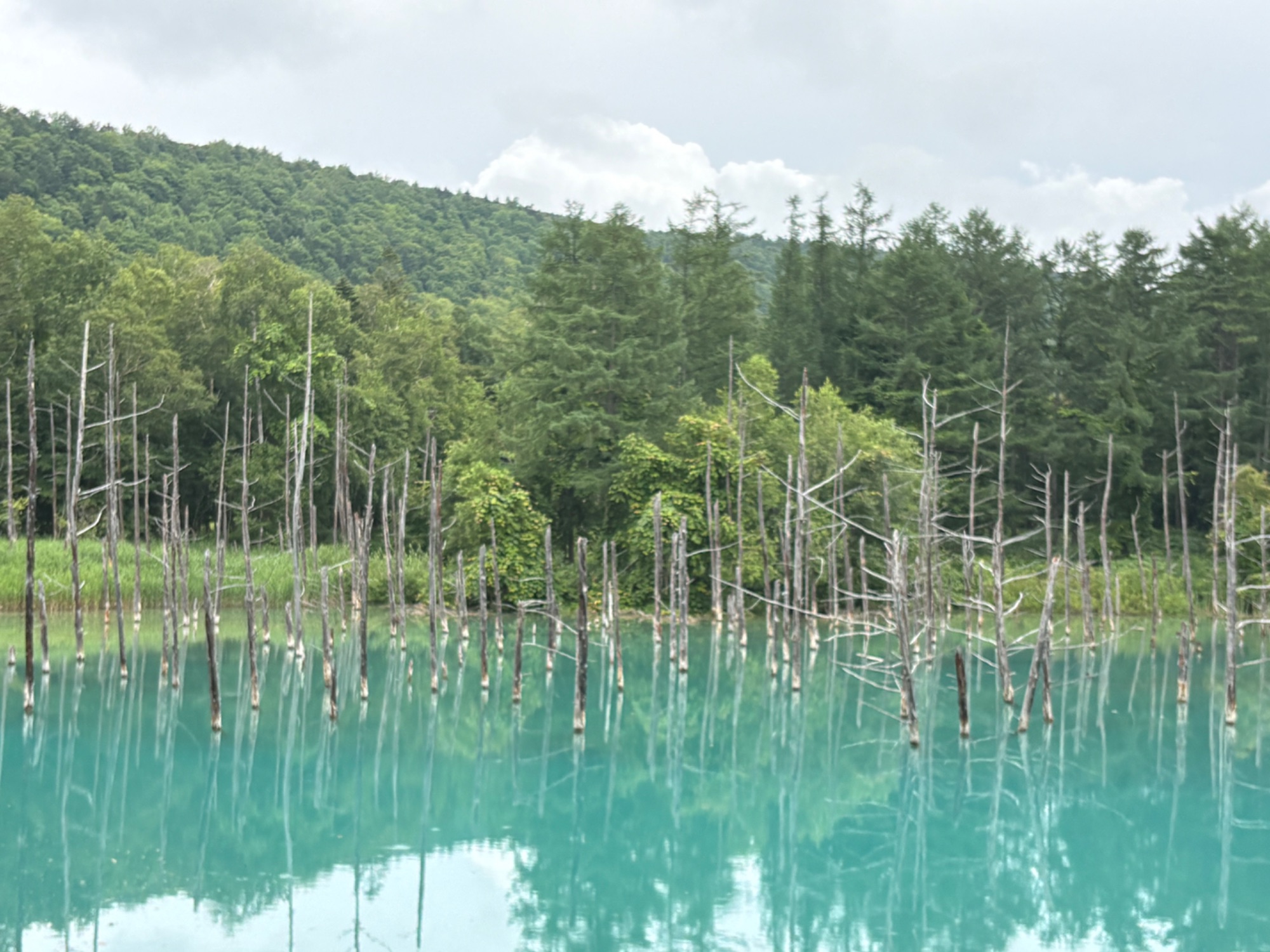 shirogane blue pond